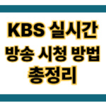 KBS 실시간 중계 총정리